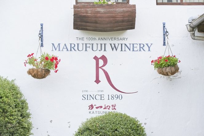 赤ワイン ルバイヤート マスカットベーリー A樽貯蔵 720ml 1本 [マツムラ酒販 山梨県 韮崎市 20744978] ワイン 赤 山梨 お酒 酒 わいん Wine