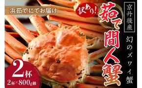 【訳あり！！幻のズワイ蟹】　　京丹後産　茹で間人蟹　鮮度抜群、浜茹でにてお届け！！ 800g級（足1本落ち）×2杯　YK00071