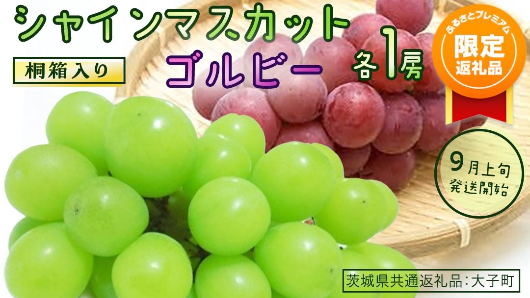 [ふるプレ限定品][桐箱入り] シャインマスカット & ゴルビー (各1房)[2026年9月上旬発送開始](茨城県共通返礼品:大子町) ぶどう 葡萄 マスカット フルーツ 果物 贈答用 ギフト 贈り物
