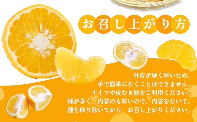 【 小豆島 】 甘夏柑 約10kg 柑橘 あまなつかん 果物 フルーツ 爽やか さっぱり くだもの 国産 香川 香川県 土庄 土庄町 