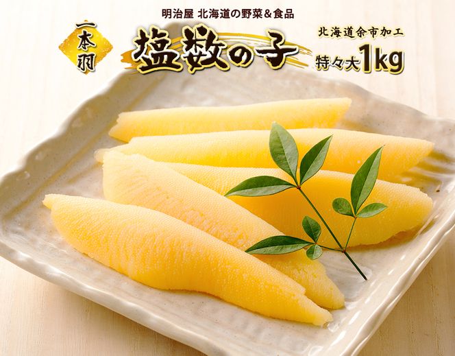 ykC]sz̎q 1{H X 1kg   CN t CN CY  ܂ ͂̂      kC ]s_Y097-0003