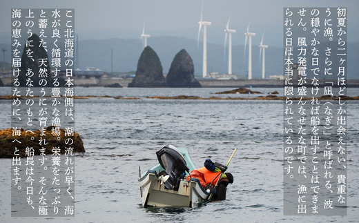 【2026年6月上旬から順次発送】【海洋深層水使用】北海道産 生うに 120g×1個 キタムラサキウニ 直送 旬 パスタ 寿司 焼き うに丼 海鮮 せたな町 ふるさと納税