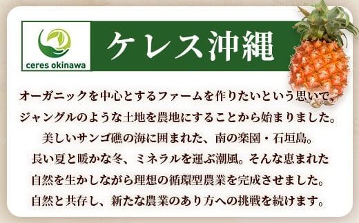 石垣島産パイン100％ジュース12本セット E-13-1