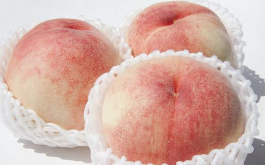 【定期便】定期便全3回 【7月・8月・9月発送】 和歌山の夏の人気フルーツをお届け（桃・梨・シャイン）【tkb429】 