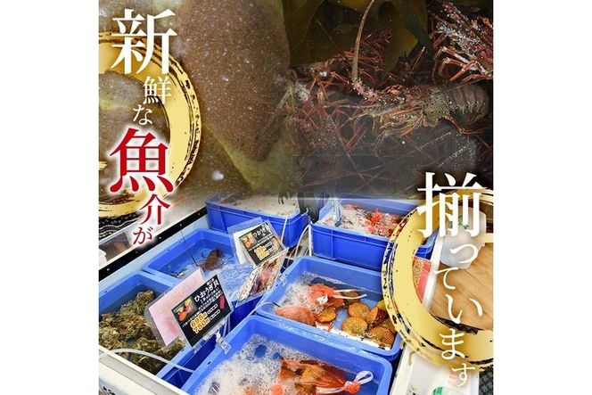 ヒオウギ貝(10枚)とサザエ(約1kg) 魚介 貝 ヒオウギ貝 ひおうぎ貝 サザエ さざえ 栄螺 酒蒸し 網焼き バター焼き バーベキュー 獲れたて 冷蔵 海の直売所 大分県 佐伯市【AS120】【海べ (株)】