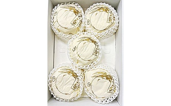 梨 2026年 先行予約 あたご梨 3-6玉（約4kg） 化粧箱入り なし ナシ 岡山県産 国産 フルーツ 果物 ギフト [№5735-2057]