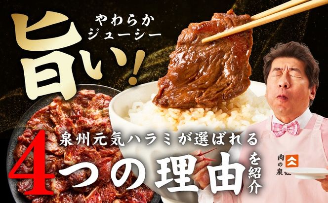 099Z620 【分けて届く定期便】牛ハラミ肉 1kg【泉州元気ハラミ 秘伝の赤タレ 牛肉 はらみ 小分け 焼肉 訳あり ワケアリ わけあり サイズ不揃い 全2回】
