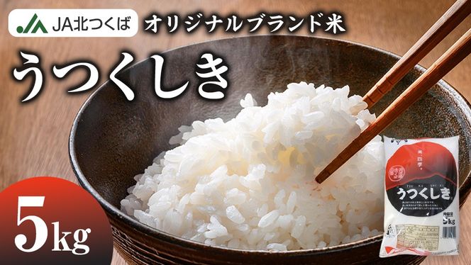 【 JA 北つくば オリジナル ブランド米 】うつくしき 5kg ( コシヒカリ ) 米 お米 コメ 白米 こしひかり 茨城県 精米 新生活 応援 [AE001ci]