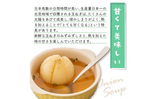 ☆L玉隔月定期便(1月・3月)☆JAきたみらいから直送する新鮮玉ねぎ 10kg(L)×2回 ( 野菜 定期便 玉葱 たまねぎ 期間限定 )【999-0007-2025】