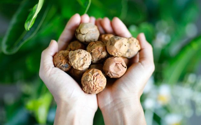 Natural Essence TAMANU スターターセット エイジングケア スキンケア スキンケアセット 美容 ギフト 沖縄市 / 株式会社すまエコ[BCBJ010]