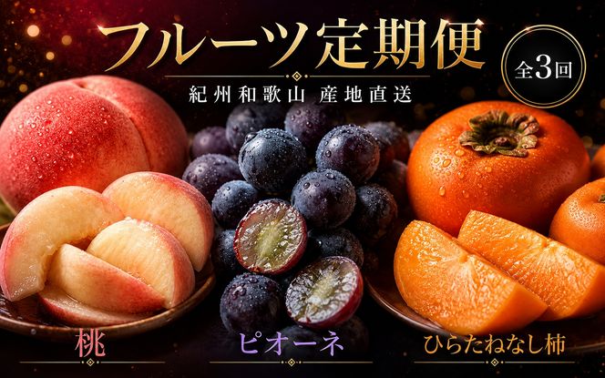 【全3回】紀州和歌山産旬のフルーツ定期便 (桃・ピオーネ・ひらたねなし柿)【tkb371】