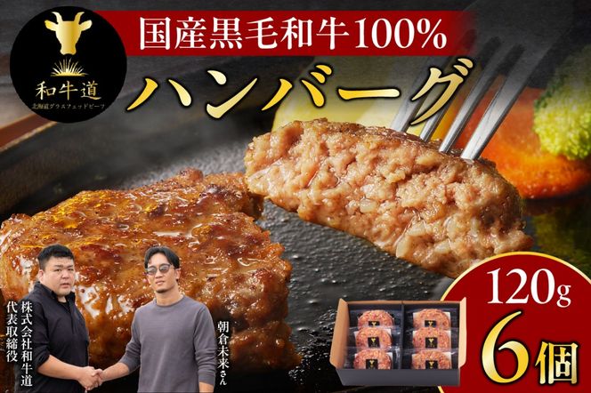 ブランド和牛「十勝姫」の和牛道ハンバーグ120g×6個セット_S017-0003