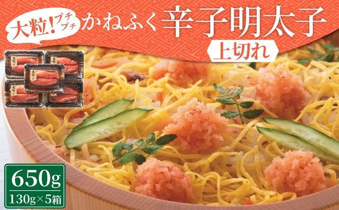 ytz˂ӂ hqq؂ v650g i130g×5j