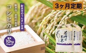 【3ヶ月定期便】【射水市】【射水の美味しいお米】若竹のお米 R8年度産コシヒカリ10kg（5kg×2） | 新米 先行予約 令和8年産米 ブランド米 こしひかり 銘柄米 こめ 白米 富山県 ※離島への配送不可 ※2026年10月上旬～10月下旬頃に順次発送予定
