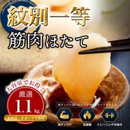 34-48 紋別一等～筋肉ホタテ　1.1kg