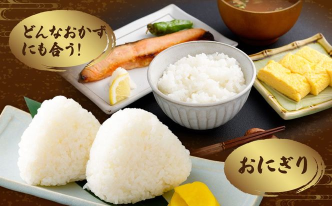 【新米受付・令和8年産米】新潟県村上市岩船産　岩船産コシヒカリ5kg　1102001N