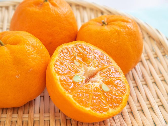 【先行予約】【秀品】紀州和歌山産 ポンカン 約2kg（箱込み）S～2L サイズ混合