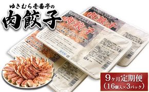 【9ヶ月定期便】ゆきむら壱番亭の肉餃子3パック(48個入り) ※離島への配送不可