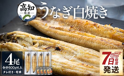 うなぎ白焼 4尾 高知県産うなぎの白焼き 150～180ｇ×4尾 早い スピード発送 7日程度 早く届く スピード配送 エコ包装 国産 うなぎ 白焼き 鰻 冷凍 高知 yw-0116