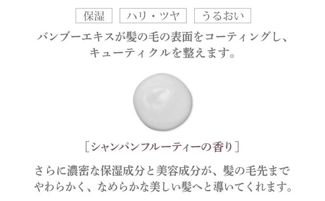 015B581 アリスベル トリートメントボーテレパラトリス 380g シャンパンフルーティーの香り