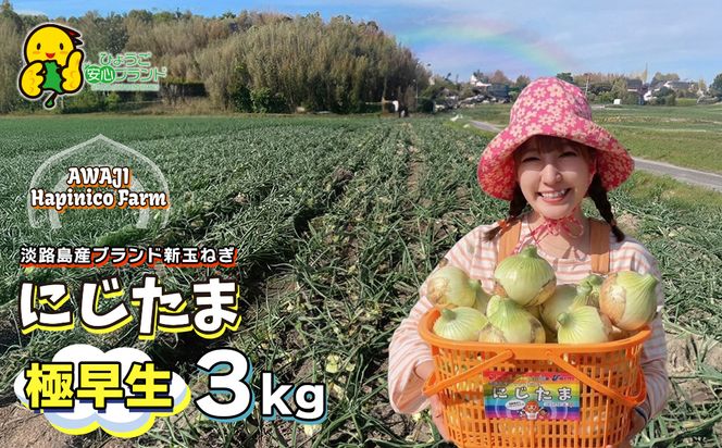淡路島産ブランド新玉ねぎ 極早生 「にじたま」  3kgダンボール入り【発送時期2026年2月中旬～4月頃】