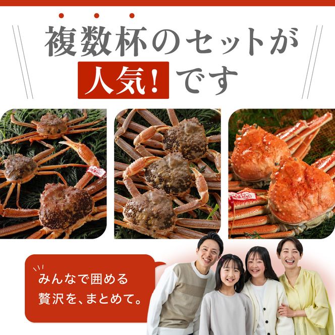 1059.【2025年12月～2026年1月発送】特撰 松葉がに（なま）【訳あり】400g超のサイズ 食べ応えあり 1杯 313726_BS037
