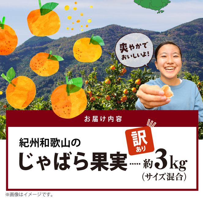 AB6013n_【国産】紀州和歌山の じゃばら 果実 【訳あり ジャバラ 家庭用】 3kg