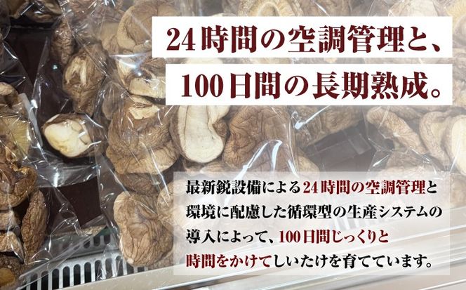 乾燥しいたけ 80g 2袋 計160g  / きのこ キノコ 茸 シイタケ  / 南島原市 / サンエスファーム[SBX004]