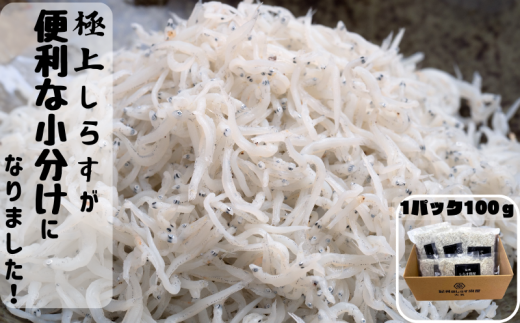 冷凍釜揚げしらす500g （100g×5パック） / シラス 厳選 小分け 冷凍便 お米のおとも【dig001B】