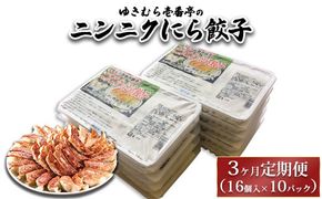 【3ヶ月定期便】ゆきむら壱番亭のニンニクにら餃子10パック(160個入り) ※離島への配送不可