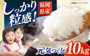 【令和6年産】果物屋さんが選んだ米 元気つくし 10kg 《築上町》【南国フルーツ株式会社】米 白米 お米 ブランド米[ABET011]