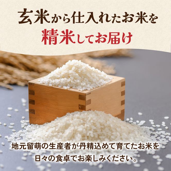 米 【新米予約】【12ヵ月定期便】 令和8年産 ななつぼし 無洗米 3kg 北海道 留萌管内産 R004-172