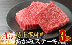 大府特産A5黒毛和牛下村牛特上あかみステーキ　3枚600g入り 232238_N959