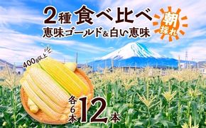 ＜2026年発送先行予約＞とうもろこし イエロー ＆ ホワイト 2種 食べ比べ 恵味ゴールド 白い恵味 400g以上 各6本 計12本 野菜 おやつ 旬 産地直送 送料無料 湖南野菜出荷組合 山梨県 富士河口湖町 FEM009