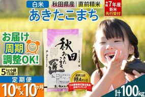 【白米】＜令和7年産 新米予約＞ 《定期便10ヶ月》秋田県産 あきたこまち 10kg (5kg×2袋)×10回 10キロ お米【お届け周期調整 隔月お届けも可】 新米|02_snk-010610s