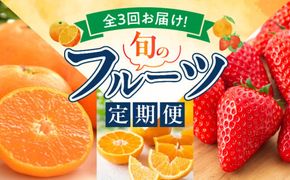 G60-T78_【定期便 全3回】紀州和歌山産旬のフルーツ定期便（田村みかん、いちご、紀州デコ）