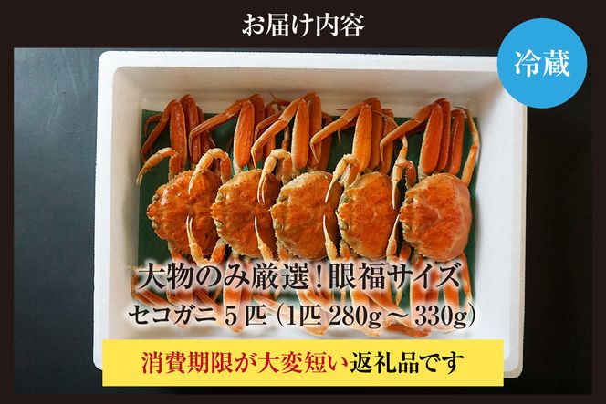 【先行予約】【1匹280g～330gの大物のみ厳選！ 眼福サイズ セコガニ5匹セット 冷蔵】【令和8年11月中旬以降発送】濃厚なカニ味噌 やみつきになる内子 外子 絶品 浜茹で 産地直送 鮮度抜群 送料無料 香住 柴山 国産 カニ 松葉ガニ せいこがに メスガニ 親ガニ ふるさと納税 返礼品 おすすめ 兵庫県 香美町 カネニ 06-25