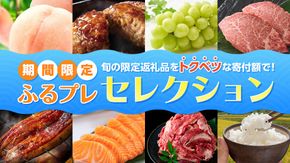 【期間限定】ふるプレセレクション～オリジナル限定返礼品特集