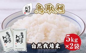 194.日置さん家の自然栽培米「鳥取旭」無洗米　5kg×2袋 2025年産 313726_AE018VC03