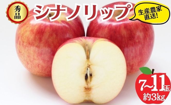 【2026年8月発送】シナノリップ 秀品 約3kg 7～11玉 りんご 果物 信州 長野