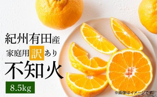 G7359_【2027年先行予約】紀州有田産 不知火 (しらぬい)【家庭用 訳あり】8.5kg