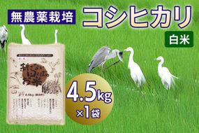 新米 無農薬栽培 コシヒカリ《白米》4.5kg｜おいしい お米 コメ こめ ご飯 ごはん 白米 玄米 お取り寄せ 直送 贈り物 贈答品 ふるさと納税 埼玉 杉戸 [0562]