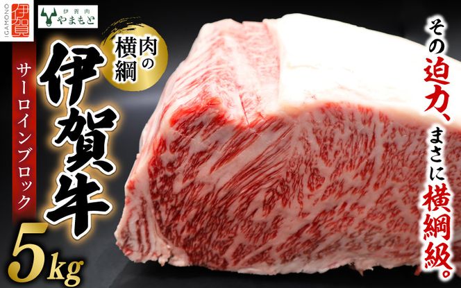 【肉の横綱】伊賀牛サーロインブロック　5kg 【ymmt0004】