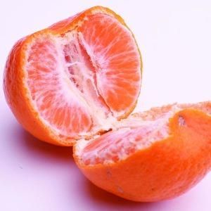 ＜1月より発送＞厳選 ポンカン10kg+250g（傷み補償分）
