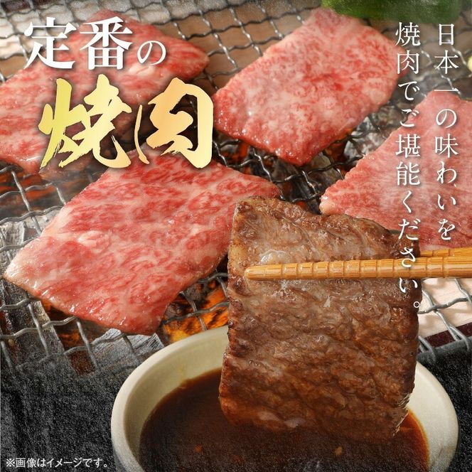 宮崎牛モモ焼肉用500g N0147-YA679