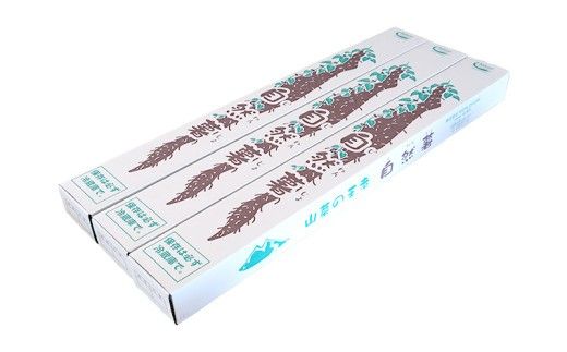 ASIAGAP認証農場 の 自然薯 2kg 茨城県 筑西市産 じねんじょ 山芋 芋 イモ いも とろろ 山菜 ASIAGAP [DD003ci]