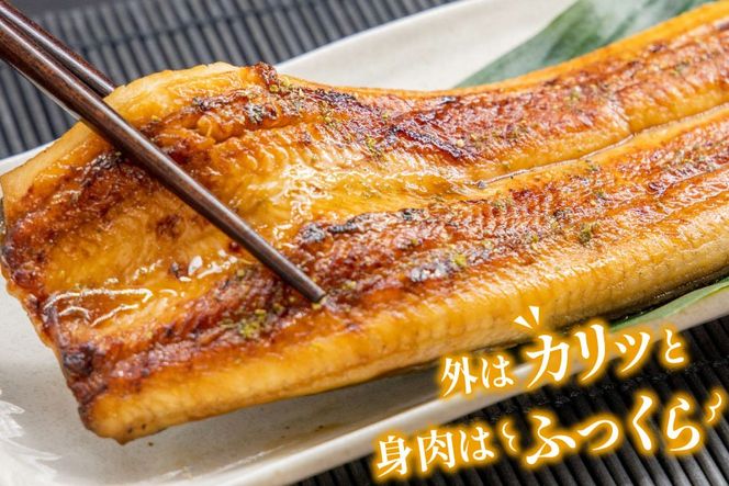 国産うなぎ蒲焼詰合せ4尾 [静岡県 吉田町 1293688]