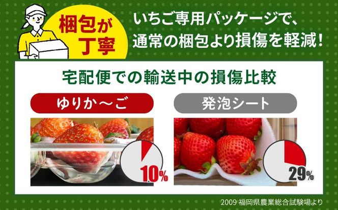 【先行予約】【全3回定期便】農家直送 朝どり新鮮いちご【博多あまおう】約270×2パック【2027年2月以降順次発送】《築上町》【株式会社H&Futures】[ABDG008]