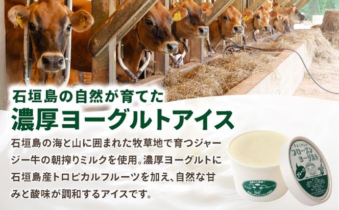 まぁじゅん牧場のフローズンヨーグルトセット 5種詰め合わせ 10個入り (プレーン マンゴー パッションフルーツ パイナップル シークヮーサー)