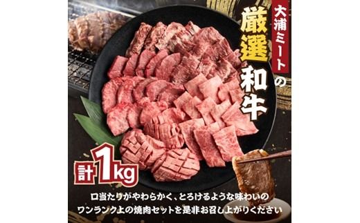 大浦和牛焼肉セット(1kg)《 牛肉 牛 国産 焼肉 セット おすすめ ロース 美味しい 牛タン ハラミ ヘレ フィレ ヒレ ヒレ肉 食べ比べ バーベキュー 》【2405A00206】
